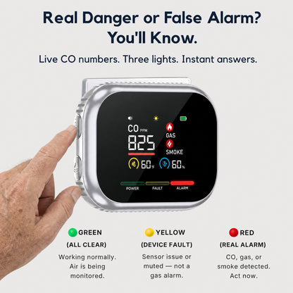 Nexvur™ 6 In 1 CO Detector